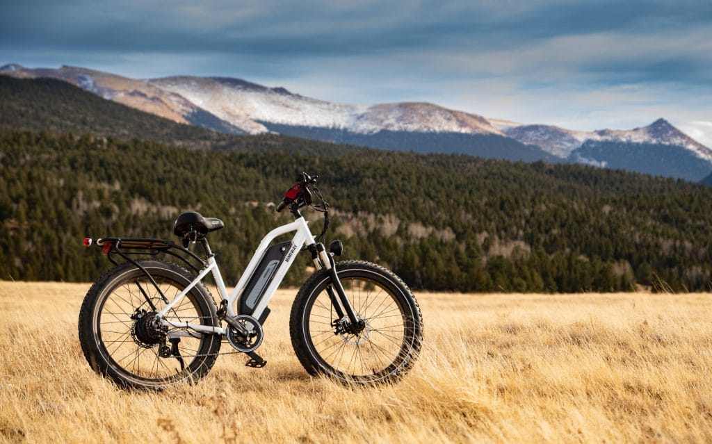 best electric bike brands